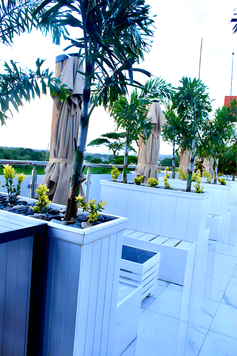 12 to 12 Day Lounge